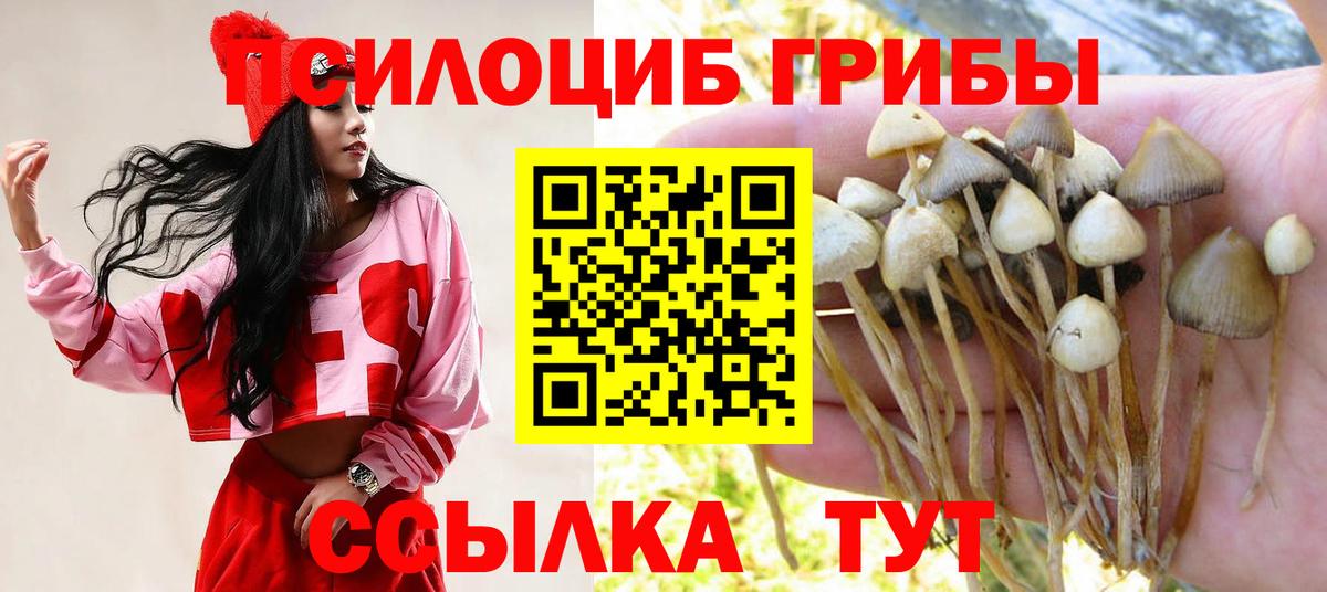 Псилоцибиновые грибы мухоморы  Псилоцибиновые грибы мицелий  Татарск  Вход с VPN 